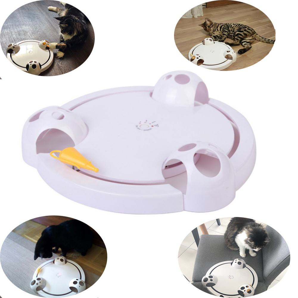 Electric Cat Play Plate 1