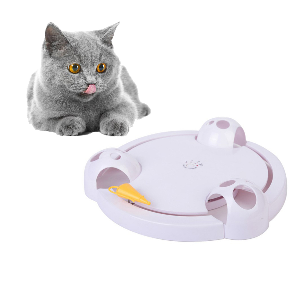 Electric Cat Play Plate 2