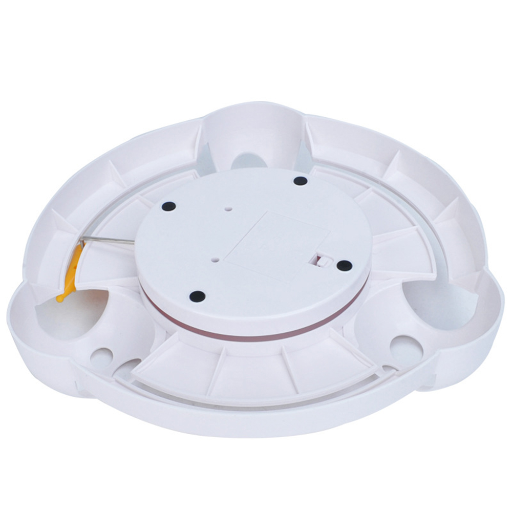 Electric Cat Play Plate 8