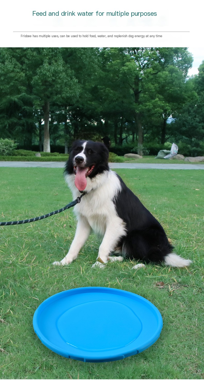 Meianju Pet Frisbee collection