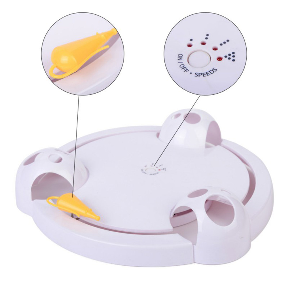 Electric Cat Play Plate 12