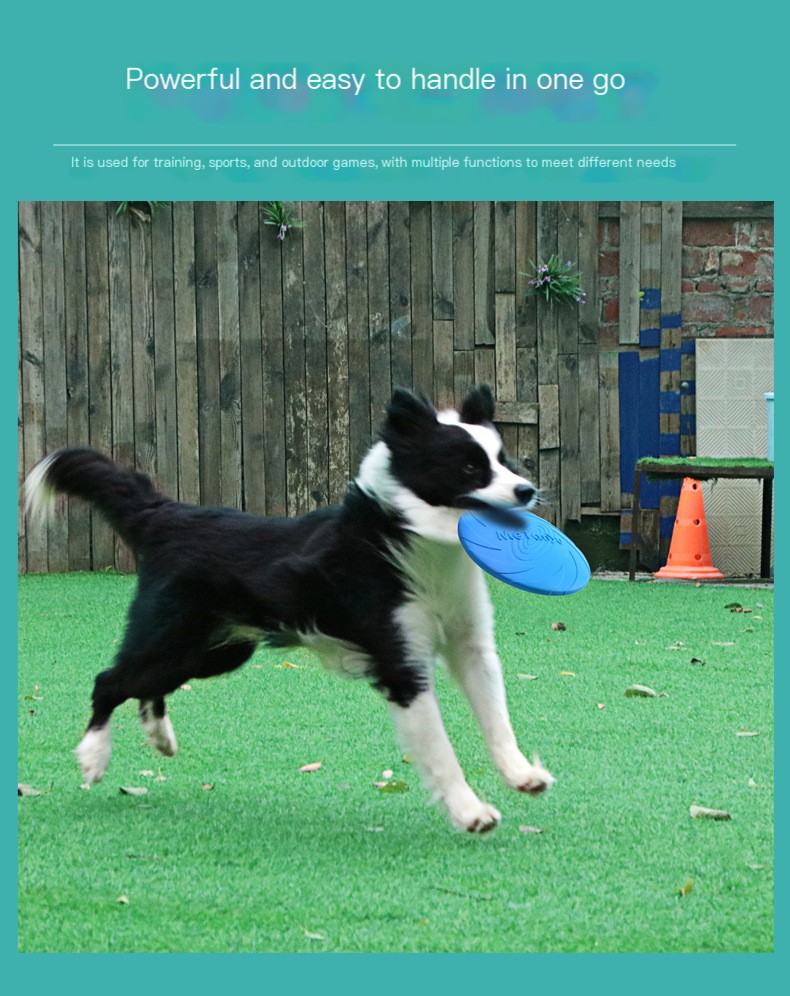 Colorful Meianju Pet Frisbee