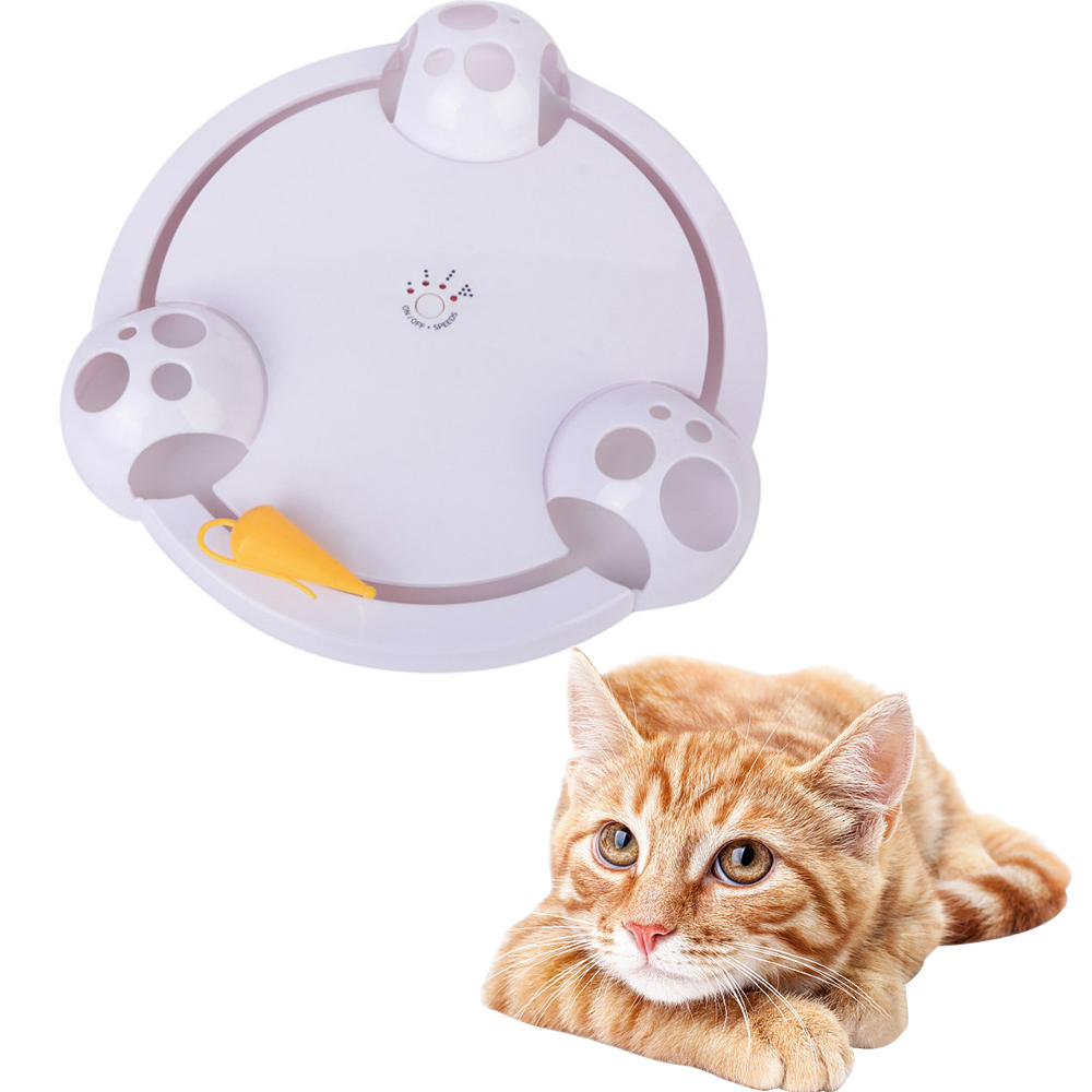 Electric Cat Play Plate 4