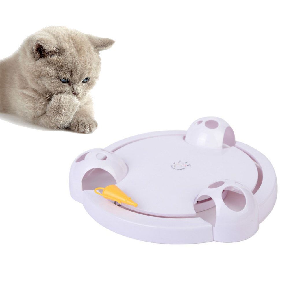 Electric Cat Play Plate 3